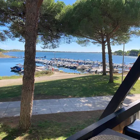 Vue Ponant Piscine Parking Clim 4 Pers Lejlighed *